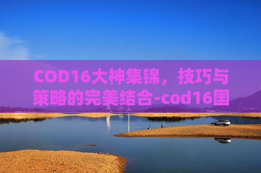 COD16大神集锦，技巧与策略的完美结合-cod16国外大神