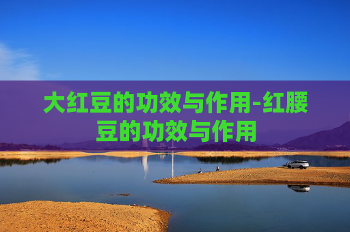 大红豆的功效与作用-红腰豆的功效与作用