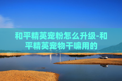 和平精英宠粉怎么升级-和平精英宠物干嘛用的