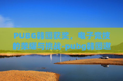 PUBG韩国获奖，电子竞技的荣耀与挑战-pubg韩国邀请赛2021