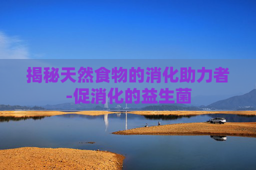 揭秘天然食物的消化助力者-促消化的益生菌