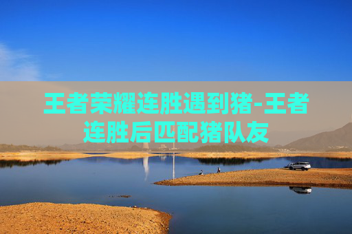 王者荣耀连胜遇到猪-王者连胜后匹配猪队友