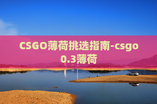 CSGO薄荷挑选指南-csgo0.3薄荷
