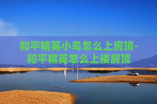 和平精英小鸟怎么上房顶-和平精英怎么上楼房顶