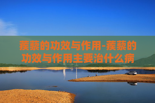 蒺藜的功效与作用-蒺藜的功效与作用主要治什么病