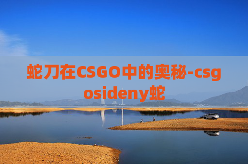 蛇刀在CSGO中的奥秘-csgosideny蛇