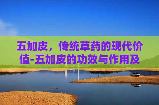五加皮，传统草药的现代价值-五加皮的功效与作用及食用方法