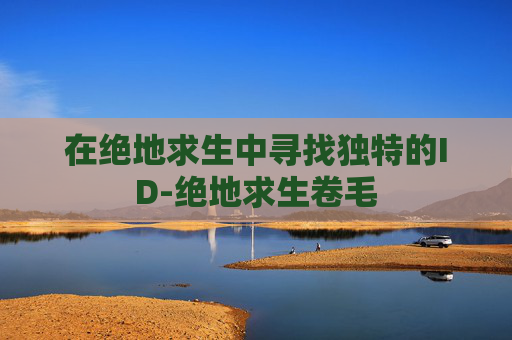 在绝地求生中寻找独特的ID-绝地求生卷毛