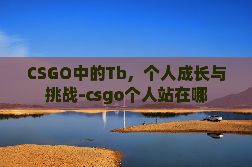 CSGO中的Tb，个人成长与挑战-csgo个人站在哪