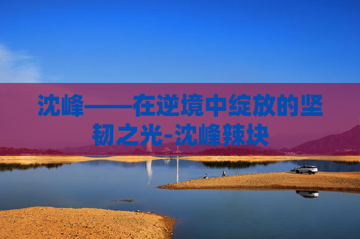 沈峰——在逆境中绽放的坚韧之光-沈峰辣块