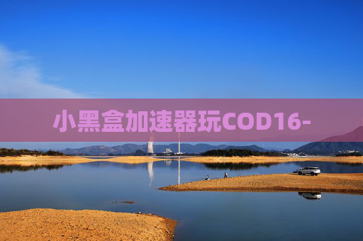 小黑盒加速器玩COD16-