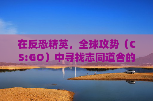 在反恐精英，全球攻势（CS:GO）中寻找志同道合的好友-csgo如何搜索好友