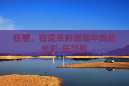 任慧，在变革的浪潮中绽放光彩-任慧敏