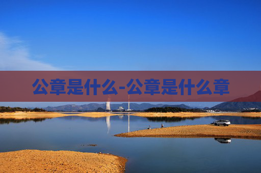公章是什么-公章是什么章