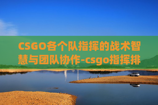 CSGO各个队指挥的战术智慧与团队协作-csgo指挥排名
