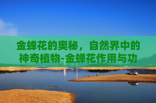 金蝉花的奥秘，自然界中的神奇植物-金蝉花作用与功效