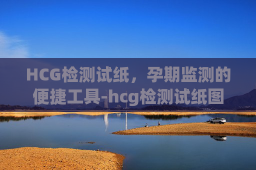 HCG检测试纸，孕期监测的便捷工具-hcg检测试纸图片说明