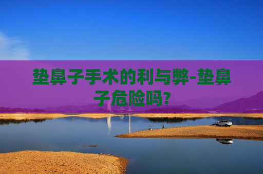 垫鼻子手术的利与弊-垫鼻子危险吗?