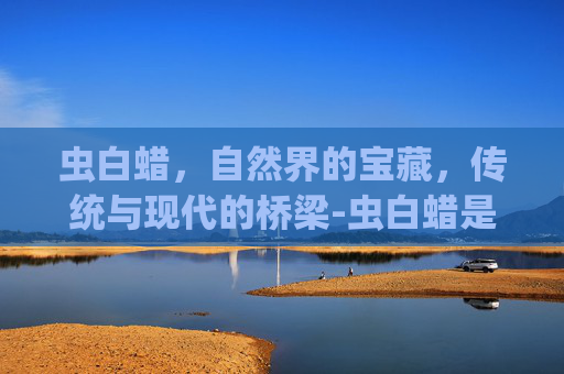 虫白蜡，自然界的宝藏，传统与现代的桥梁-虫白蜡是什么?