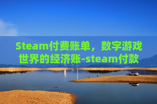 Steam付费账单，数字游戏世界的经济账-steam付款记录
