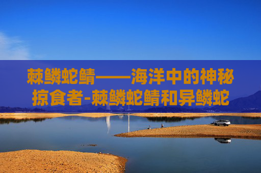 棘鳞蛇鲭——海洋中的神秘掠食者-棘鳞蛇鲭和异鳞蛇鲭