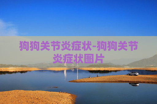 狗狗关节炎症状-狗狗关节炎症状图片