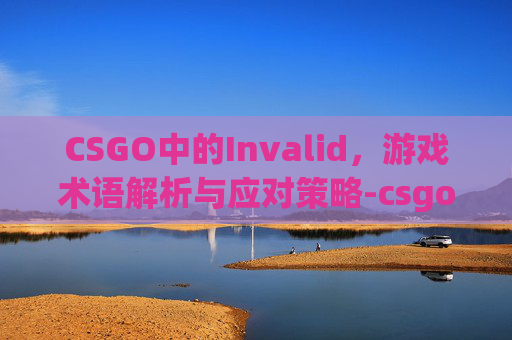 CSGO中的Invalid，游戏术语解析与应对策略-csgoinvalid