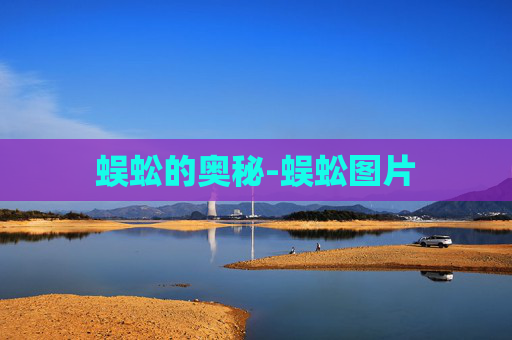 蜈蚣的奥秘-蜈蚣图片