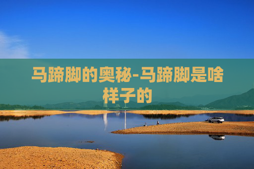 马蹄脚的奥秘-马蹄脚是啥样子的
