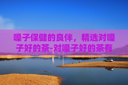 嗓子保健的良伴，精选对嗓子好的茶-对嗓子好的茶有哪些