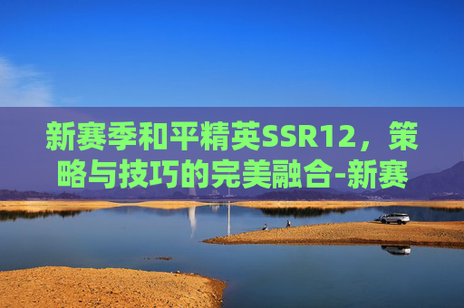 新赛季和平精英SSR12，策略与技巧的完美融合-新赛季和平精英ss12赛季时间