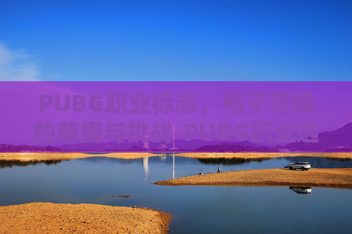 PUBG职业标志，电子竞技的荣耀与挑战-PUBG职业选手名单大全