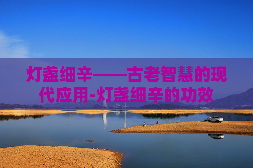 灯盏细辛——古老智慧的现代应用-灯盏细辛的功效