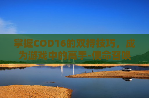 掌握COD16的双持技巧，成为游戏中的高手-使命召唤16双持