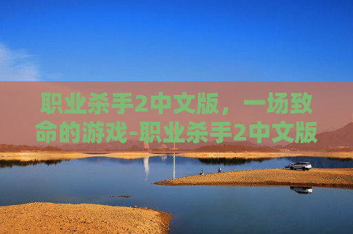 职业杀手2中文版，一场致命的游戏-职业杀手2中文版在线观看