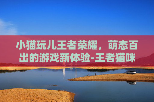 小猫玩儿王者荣耀，萌态百出的游戏新体验-王者猫咪怎么玩