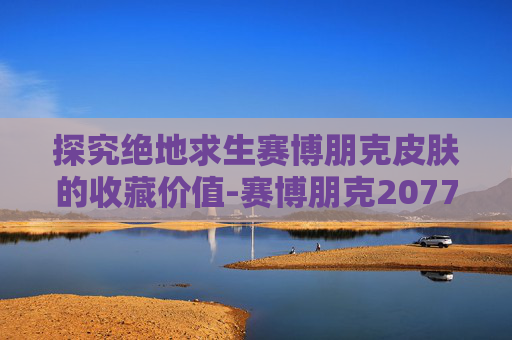 探究绝地求生赛博朋克皮肤的收藏价值-赛博朋克2077最新价格