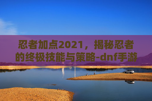 忍者加点2021，揭秘忍者的终极技能与策略-dnf手游忍者加点