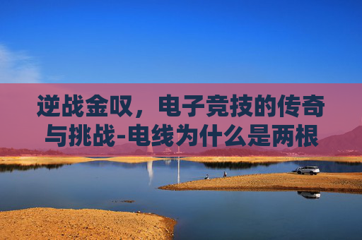 逆战金叹，电子竞技的传奇与挑战-电线为什么是两根