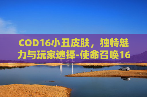 COD16小丑皮肤，独特魅力与玩家选择-使命召唤16小丑皮肤