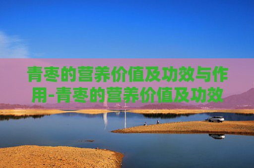 青枣的营养价值及功效与作用-青枣的营养价值及功效与作用是什么