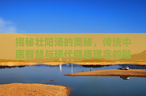 揭秘壮阳汤的奥秘，传统中医智慧与现代健康理念的融合-壮阳汤有哪些