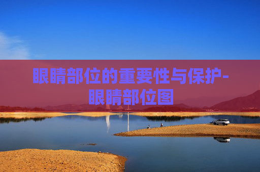 眼睛部位的重要性与保护-眼睛部位图