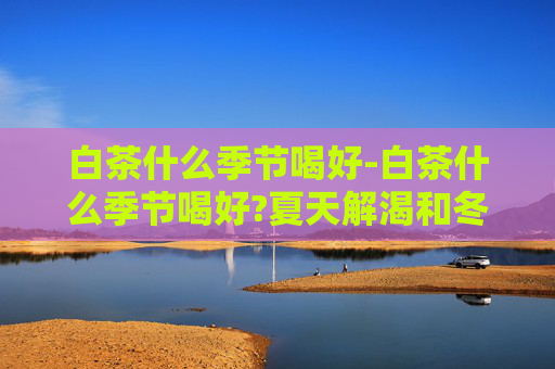 白茶什么季节喝好-白茶什么季节喝好?夏天解渴和冬天暖身分别选哪种白茶?