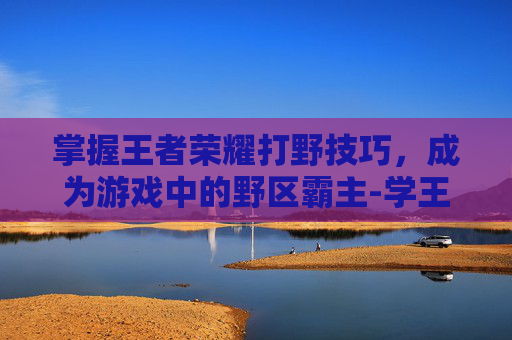 掌握王者荣耀打野技巧，成为游戏中的野区霸主-学王者荣耀打野教学在哪里学