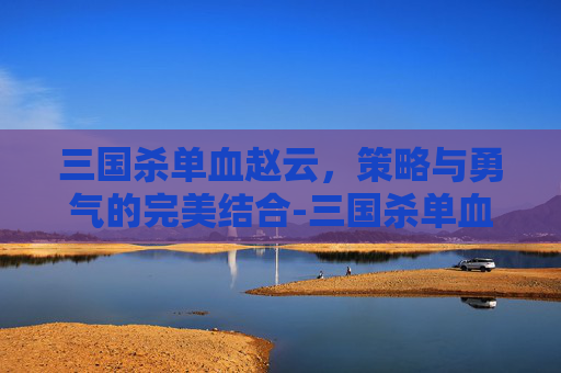 三国杀单血赵云，策略与勇气的完美结合-三国杀单血神赵云