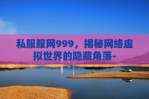 私服服网999，揭秘网络虚拟世界的隐藏角落-