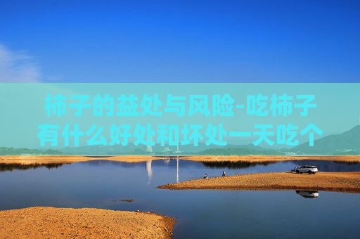 柿子的益处与风险-吃柿子有什么好处和坏处一天吃个