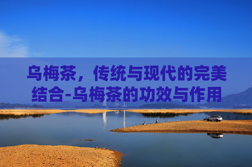 乌梅茶，传统与现代的完美结合-乌梅茶的功效与作用