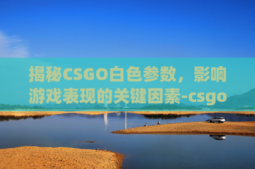 揭秘CSGO白色参数，影响游戏表现的关键因素-csgo白色系列套
